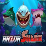 Das Razor Shark Logo